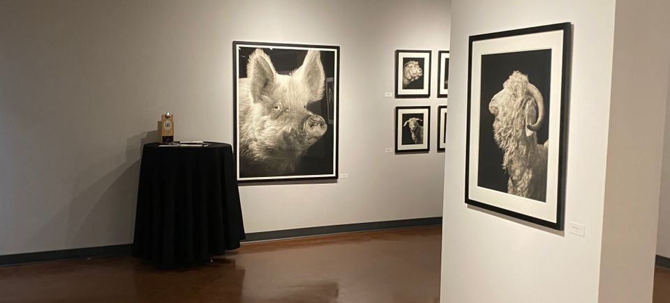 Horan exhibit photo 8