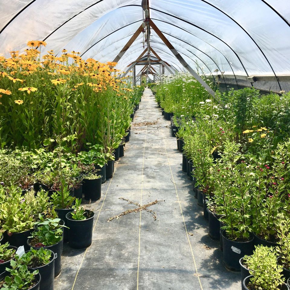 Elee vigil 5lfmood8vf4 unsplash