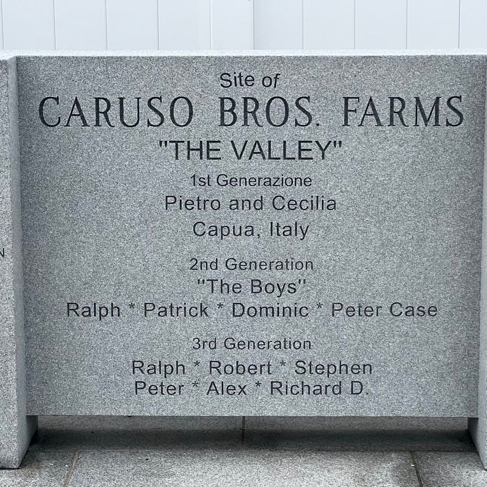 Caruso set 1