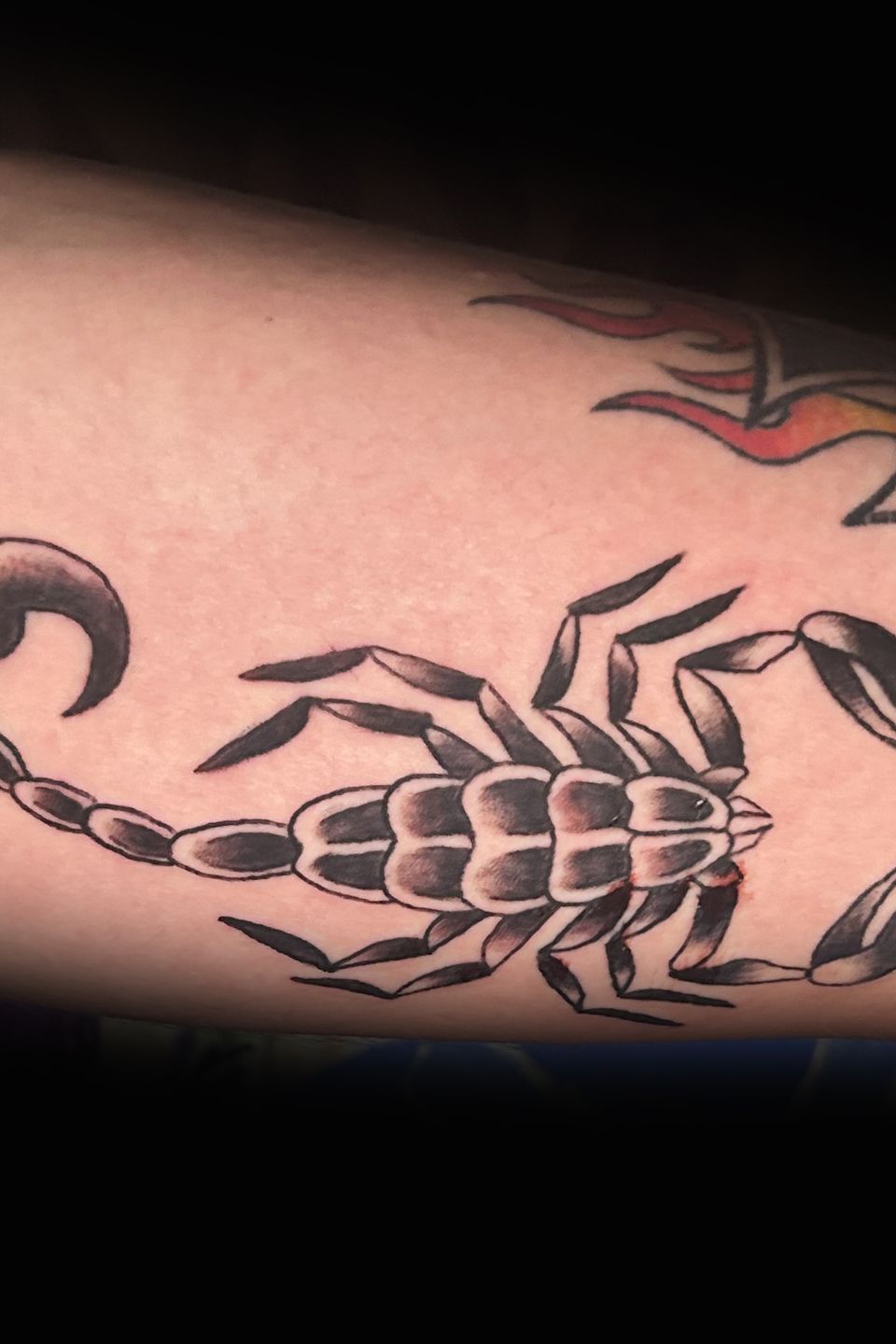 Nick scorpion