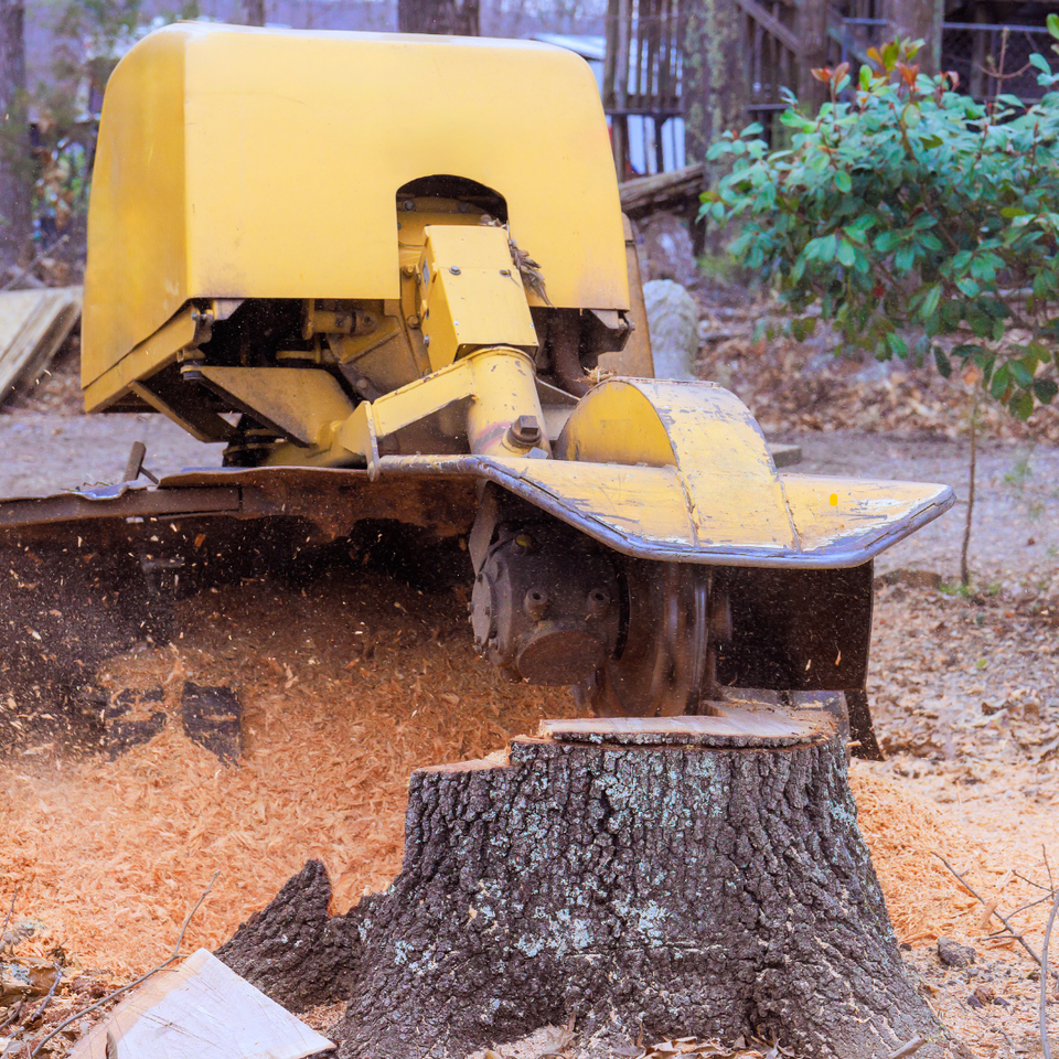 Stump grinding