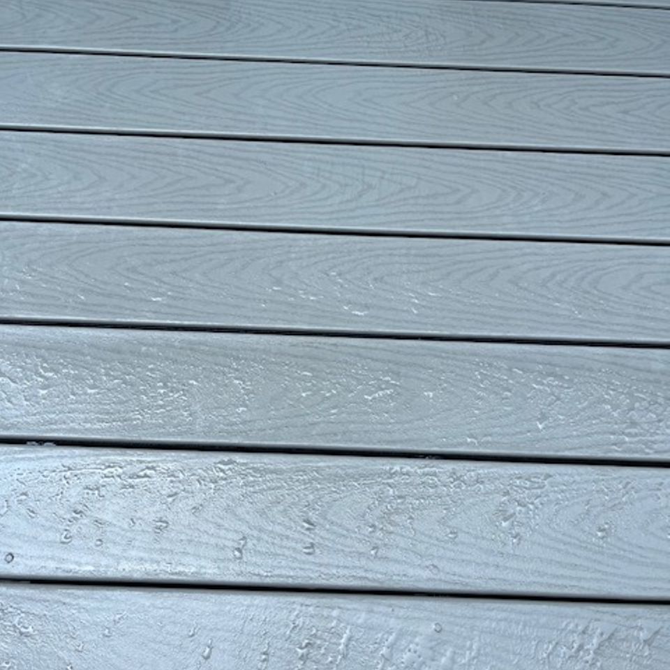 Img 0598