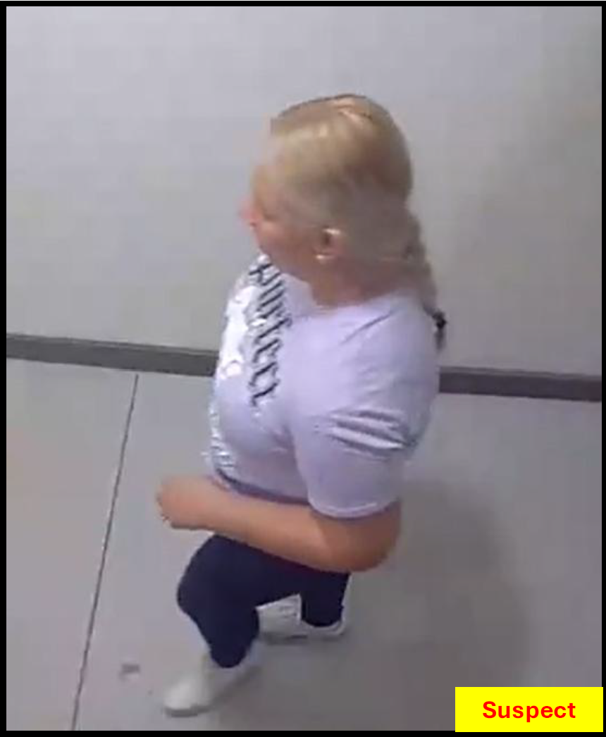 Suspect