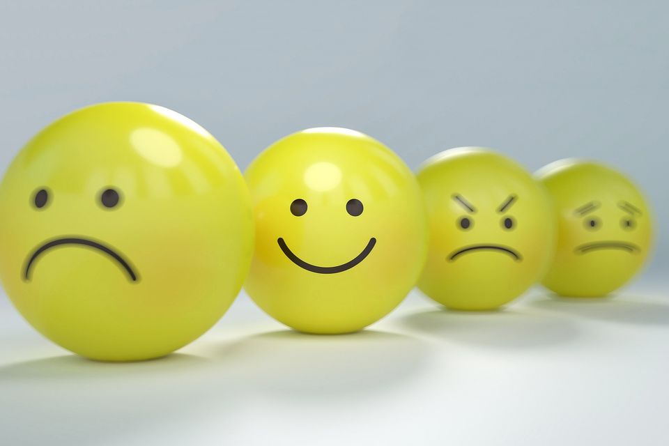 web design agency