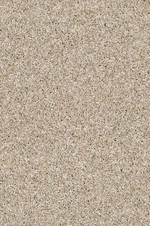 Shake it up (a)   creamy silk  2.59