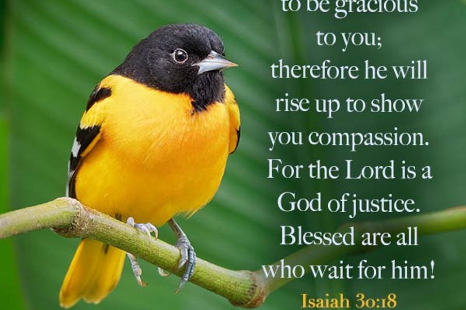 01 isaiah 30 18