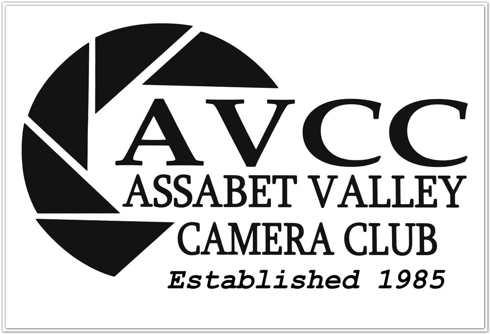 Avcc logo w border
