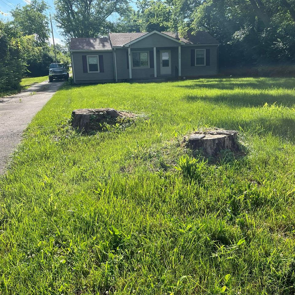 Pic8
