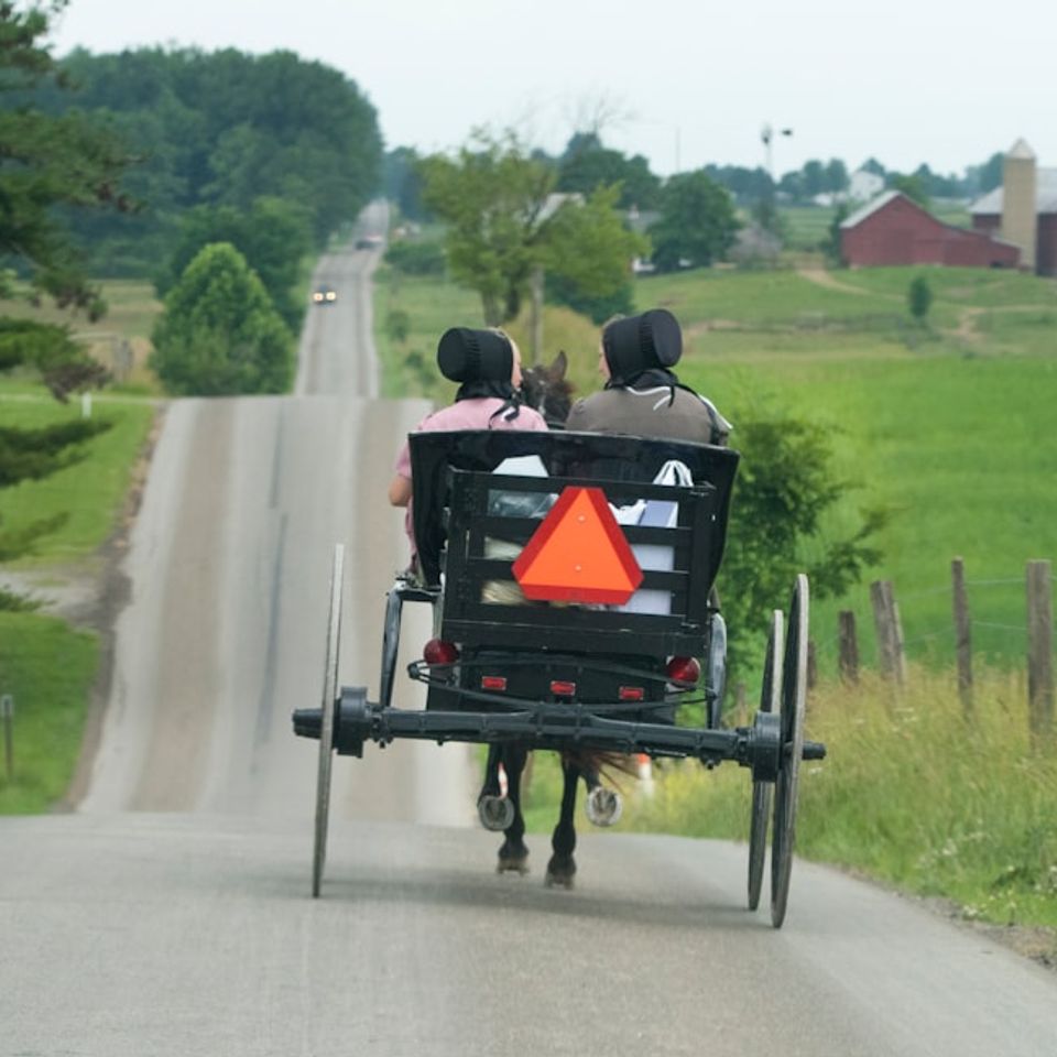 Amish