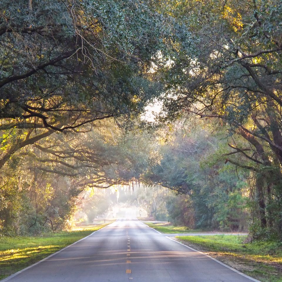 Morning road