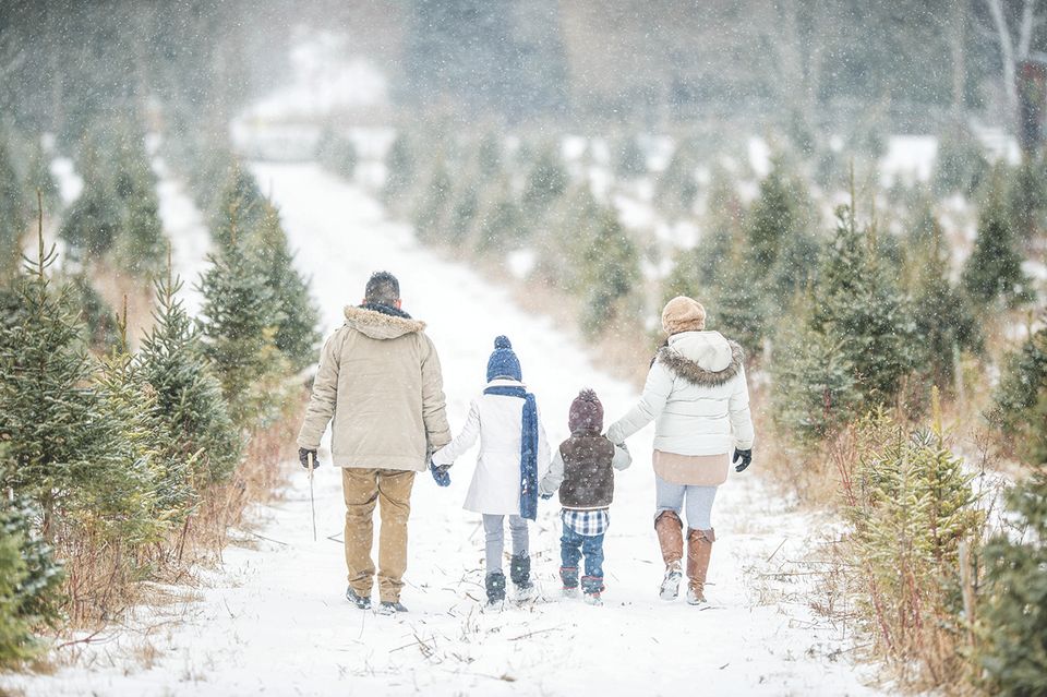 Choosing tree