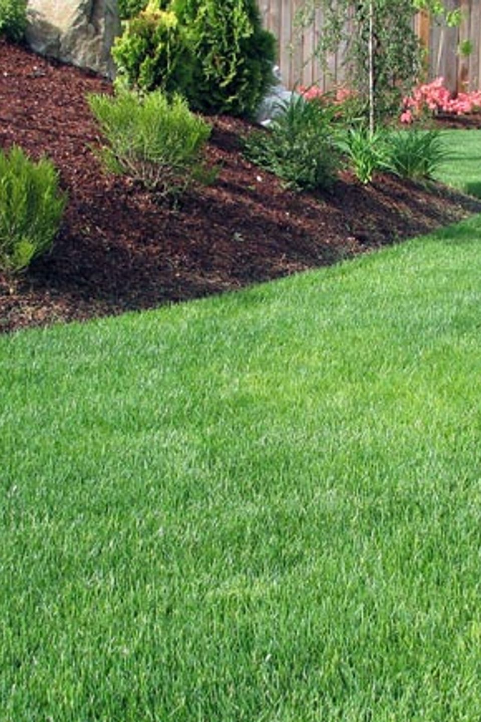 Lawncare and landscaping northern kentucky florence cincinnati ohio