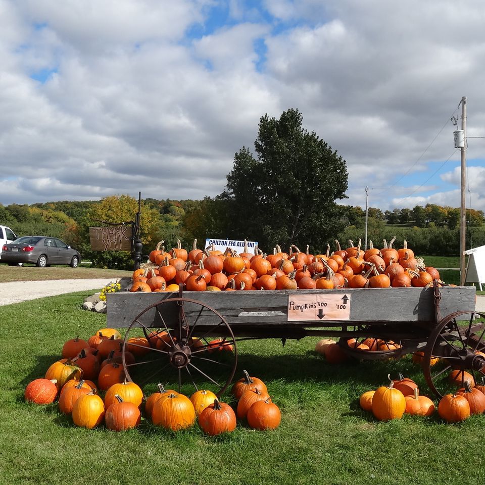 Fall orchard 2015 00320151012 10195 6o9bcx