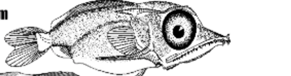 Screenshot 2025 10 15 140340