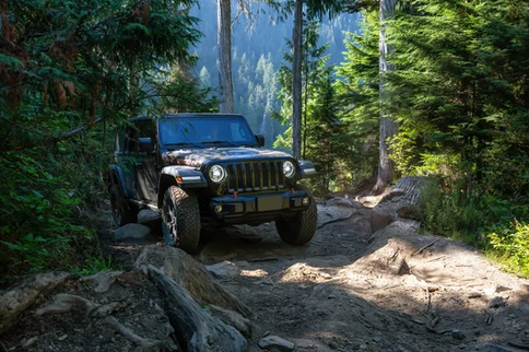 Jeep woodland trail