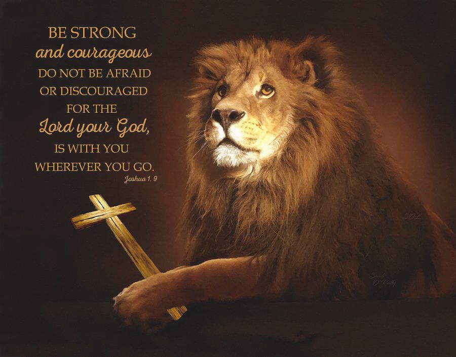 Lion of judah with cross and scripture sandi oreilly
