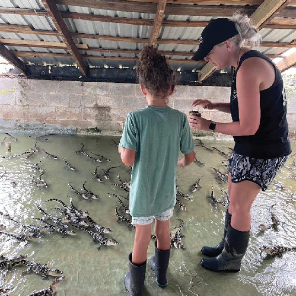 Gator farm