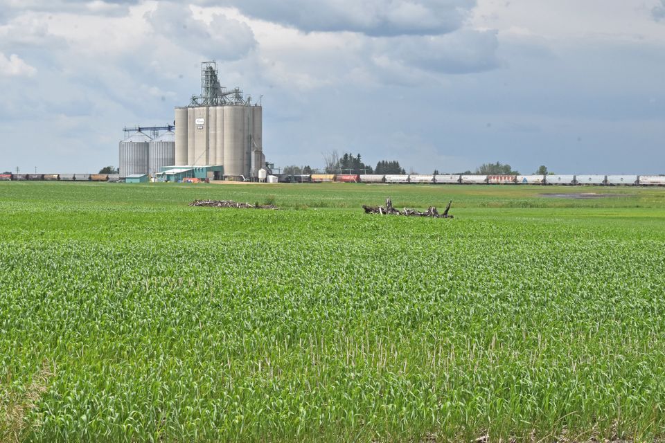 Viterra star 2019 6 30 (3)