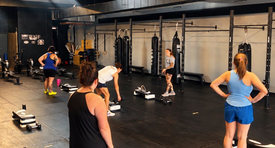 Next level training website (3)