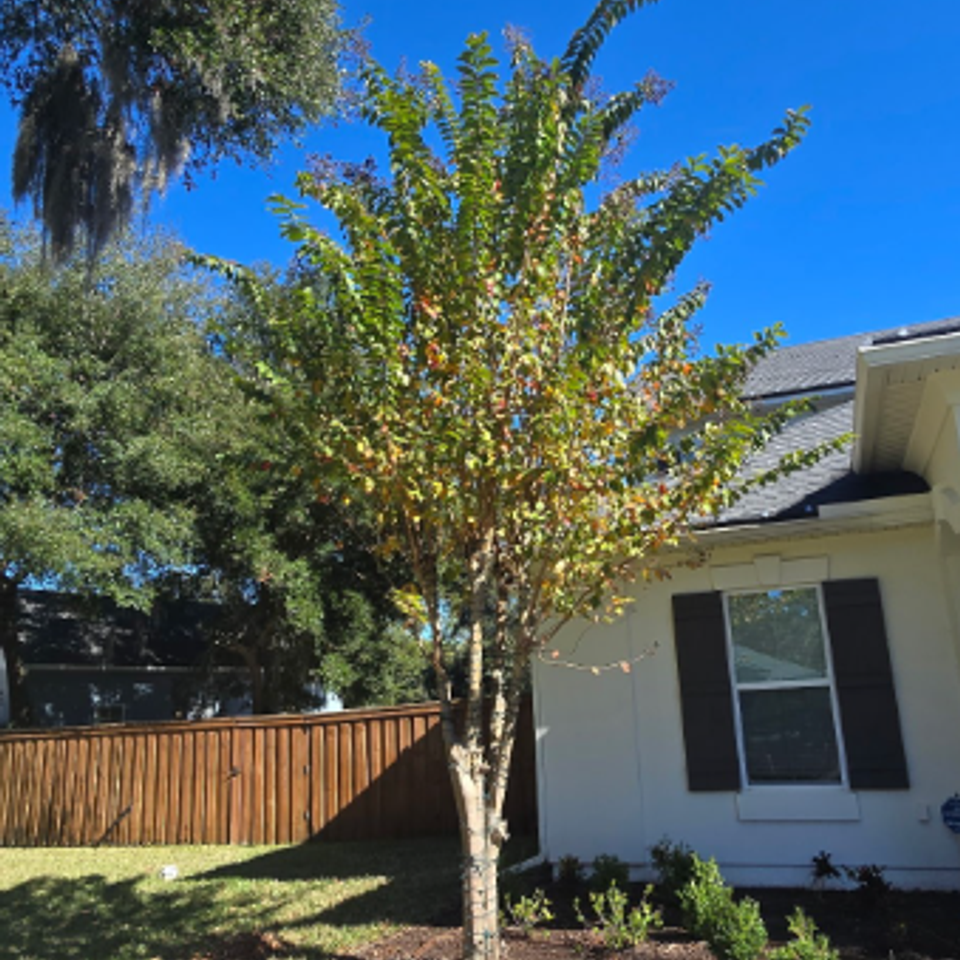 Screenshot 2025 12 13 070751