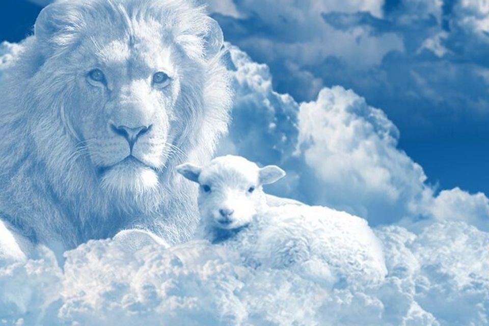 70959 jesus lion and lamb pixaby jeffjacobs1990.1200w.tn