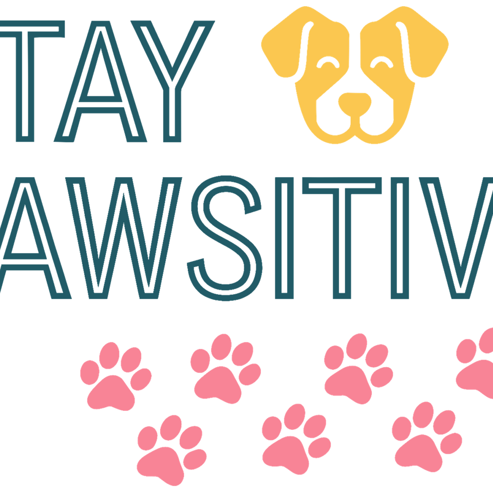 Ani   0135 animals   dogs pawsitive