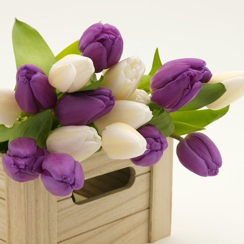 Bouquet 3158358 960 72020180226 5425 1upy3f7