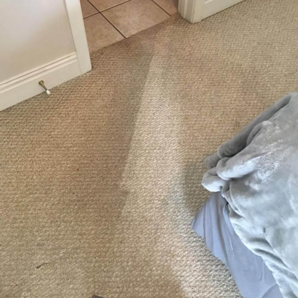 Cc clean 7