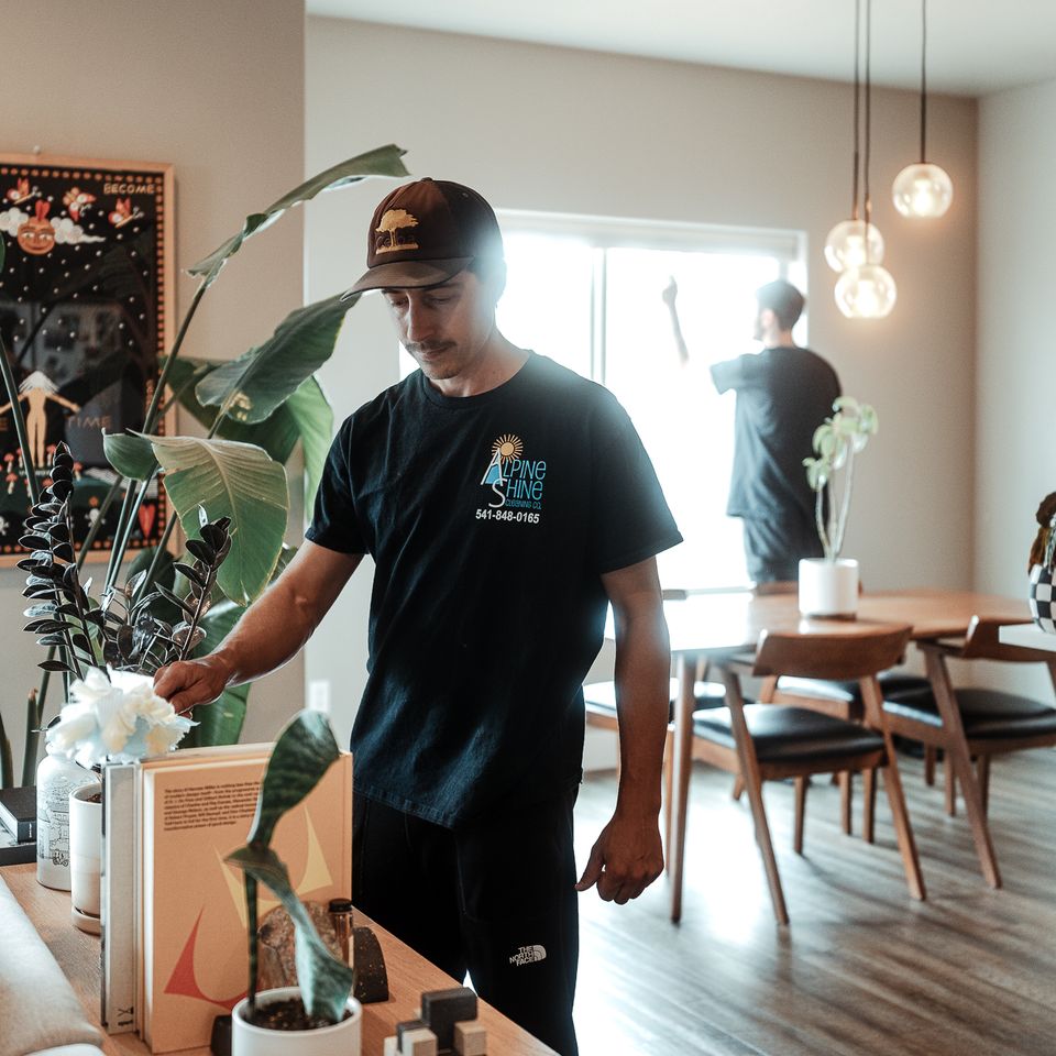 Alpine shine cleaning co. thefields 101