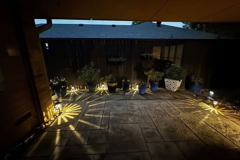 Img 1376