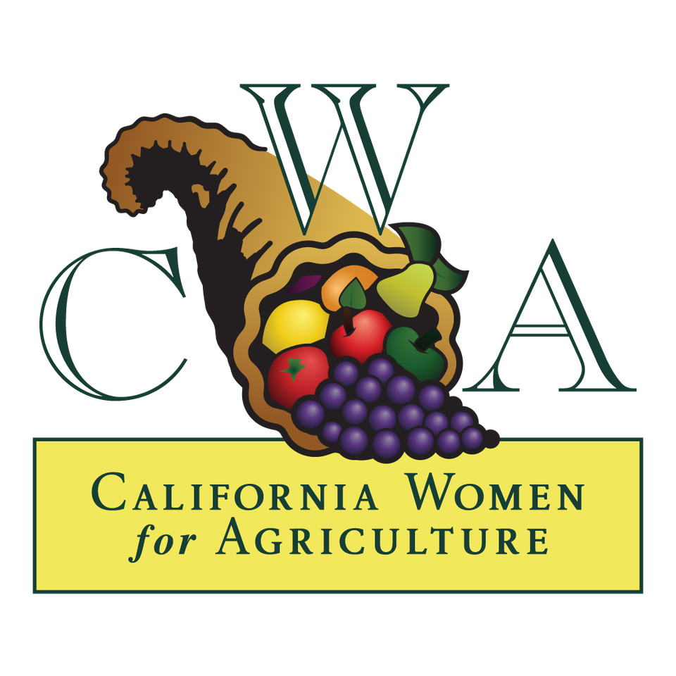 Copy of cwa logo   final
