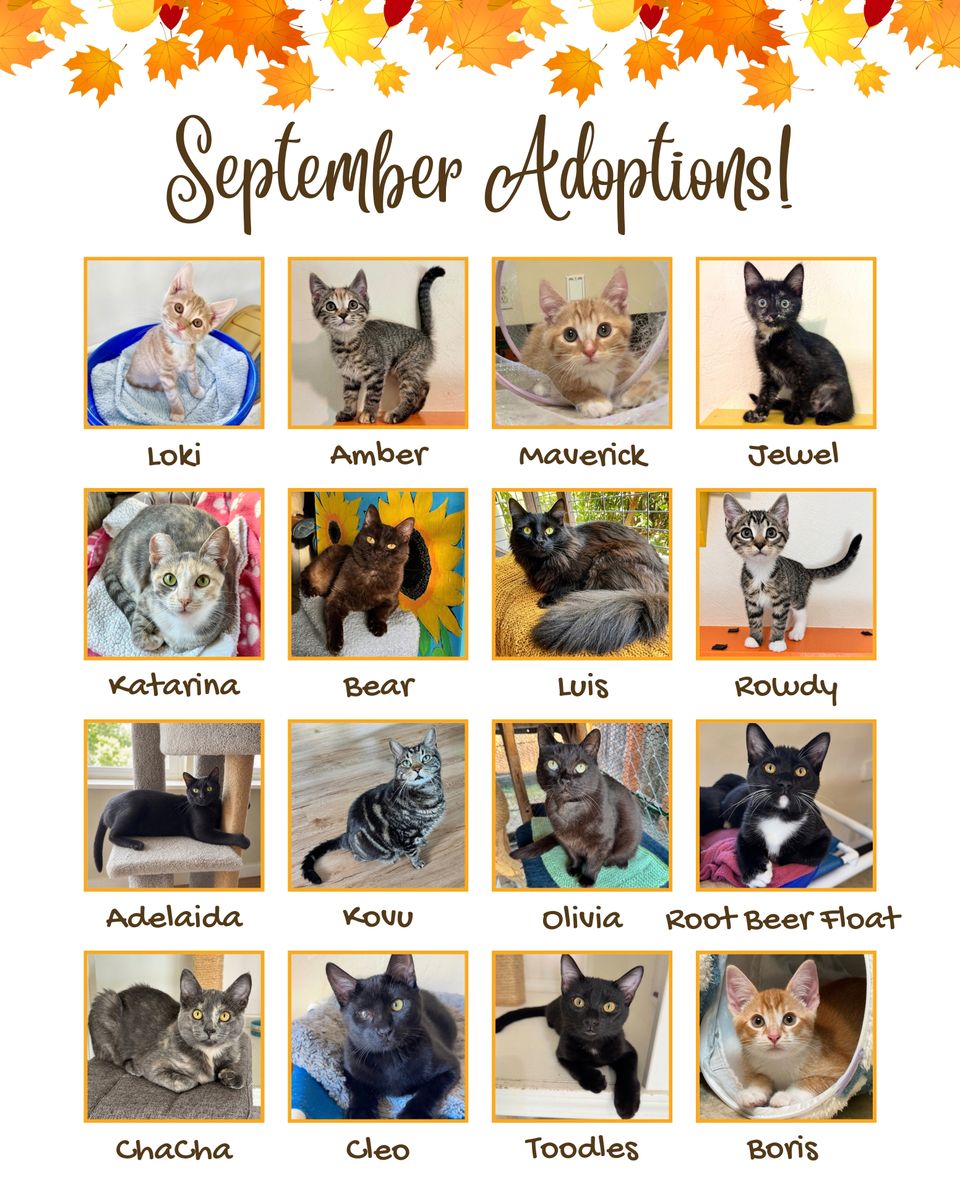 September adoptions!