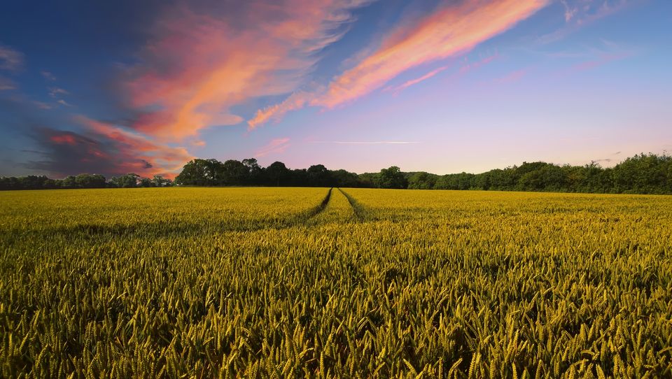 Rural Property For Sale