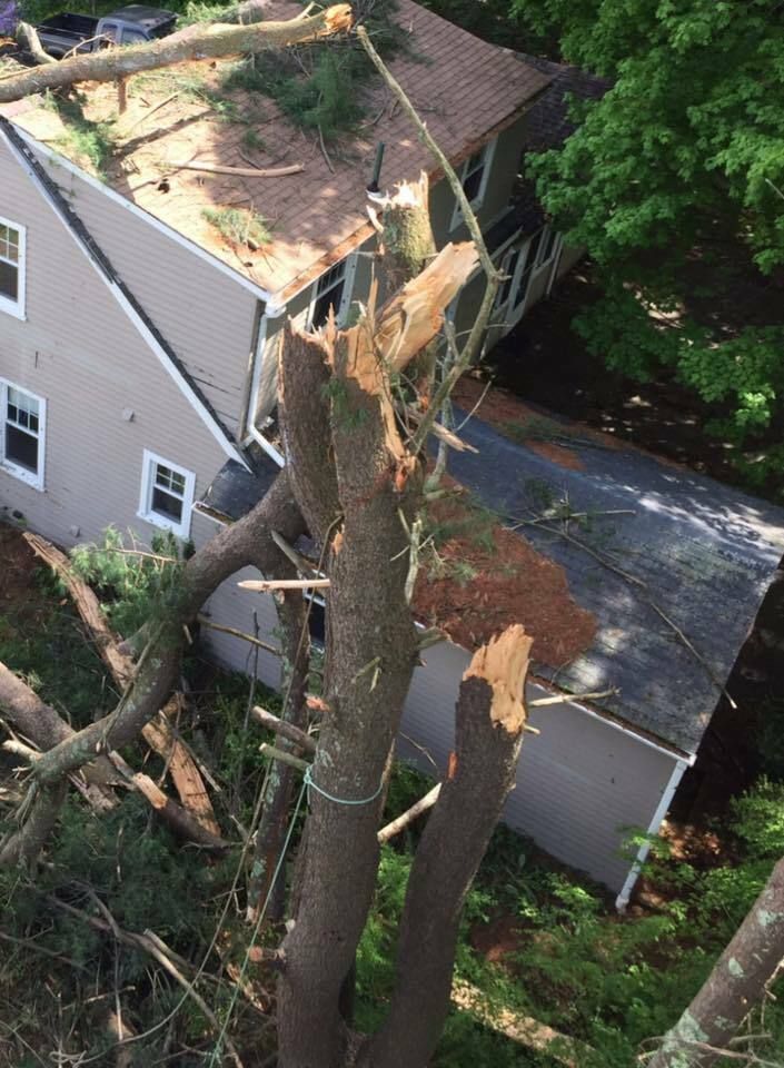 32742004 1738264619587669 6691219452693839872 n