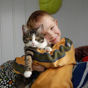 Cat g686fbb796 1920 960x960