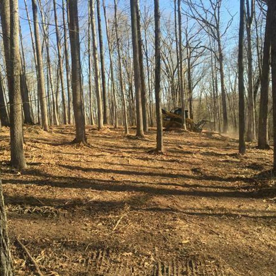 Forest mulching