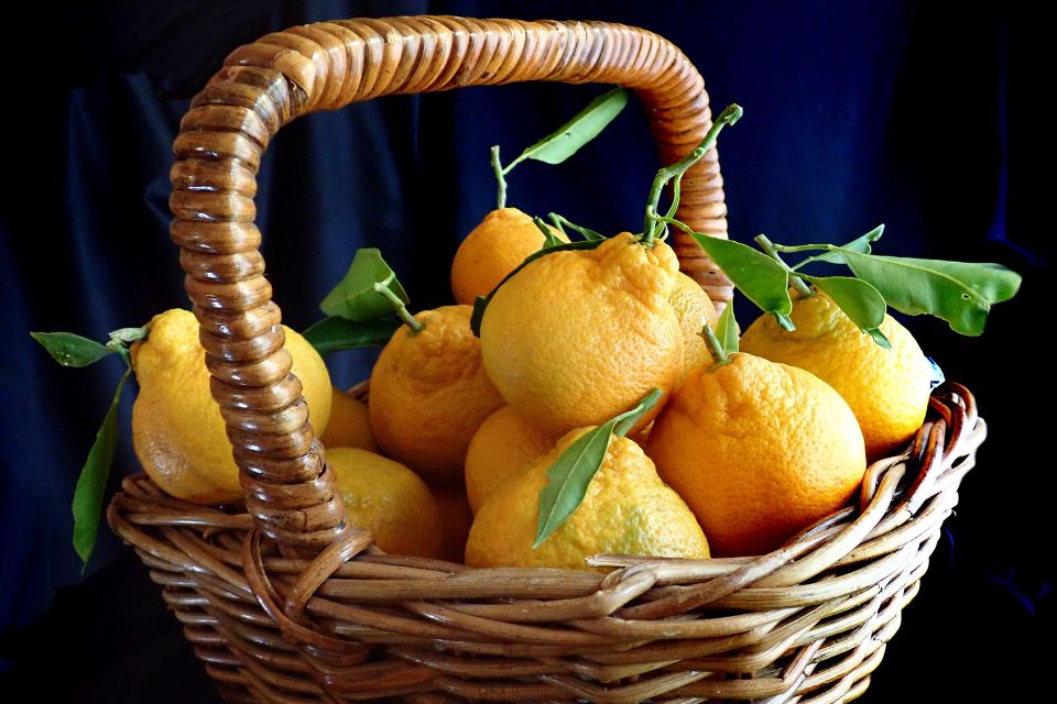 Fruit gc241239f3 1920