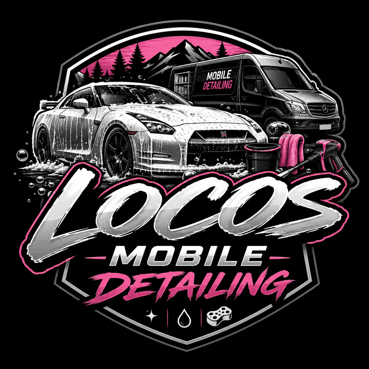 Locos Mobile Detailing 