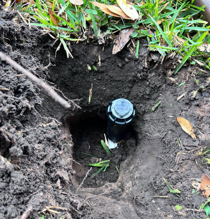 Screenshot 2025 10 20 081512