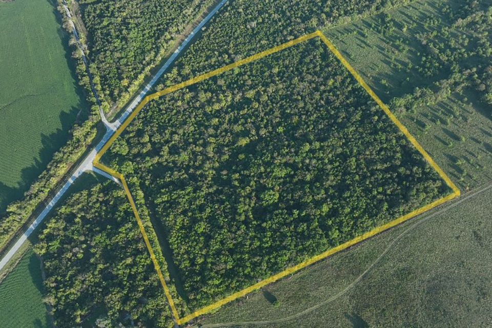 38 acres wentworth missouri 8