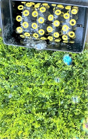 Bubble machine 2