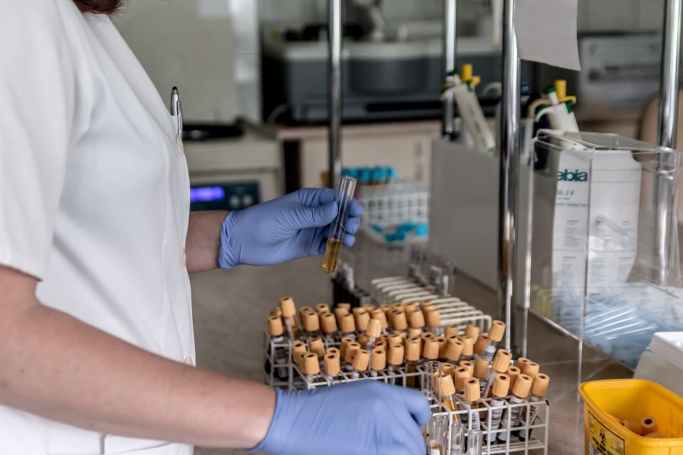 Jarmoluk lab g2a28b4ab7 1920