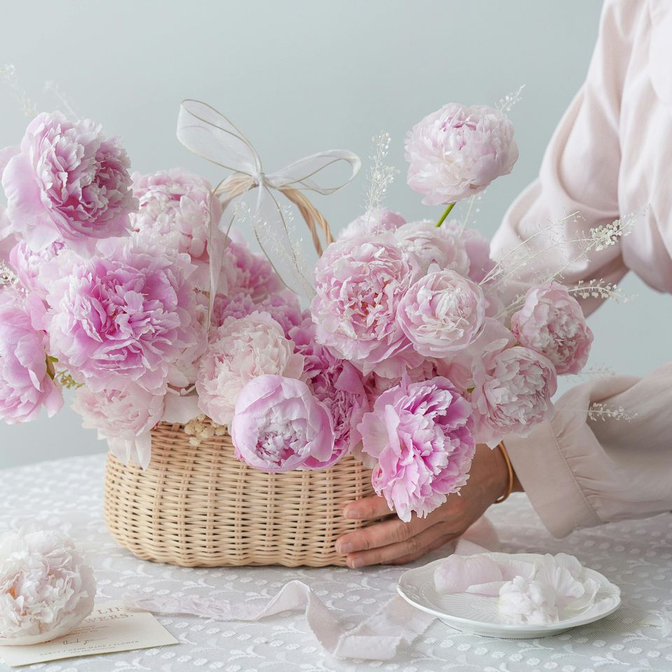 Pexels andy lee 222330306 14770848