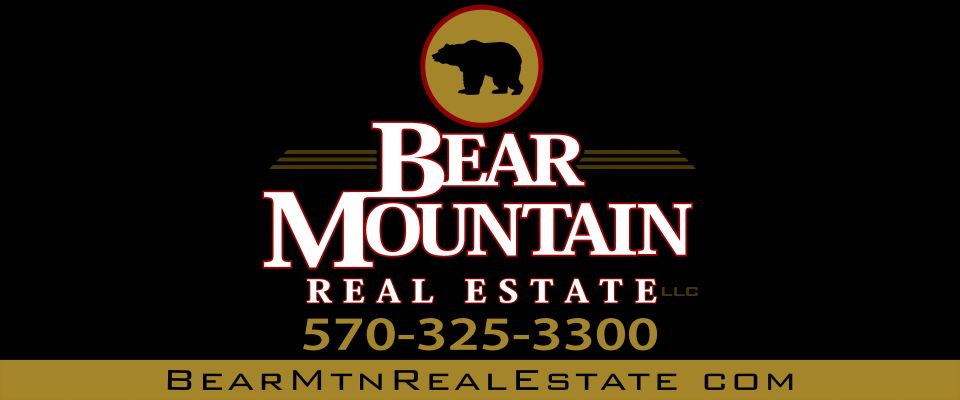 Copy of bear mountain real estate logo.jpg