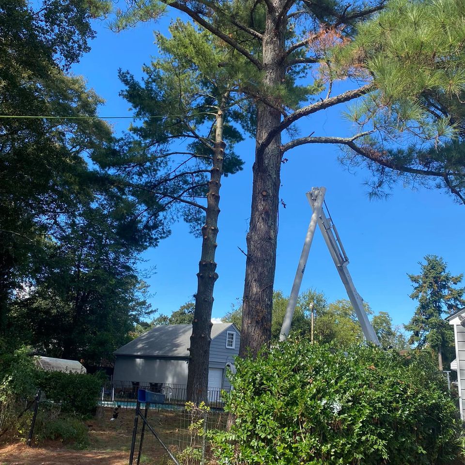 469459208 1491394798190659 5437705976363906139 n