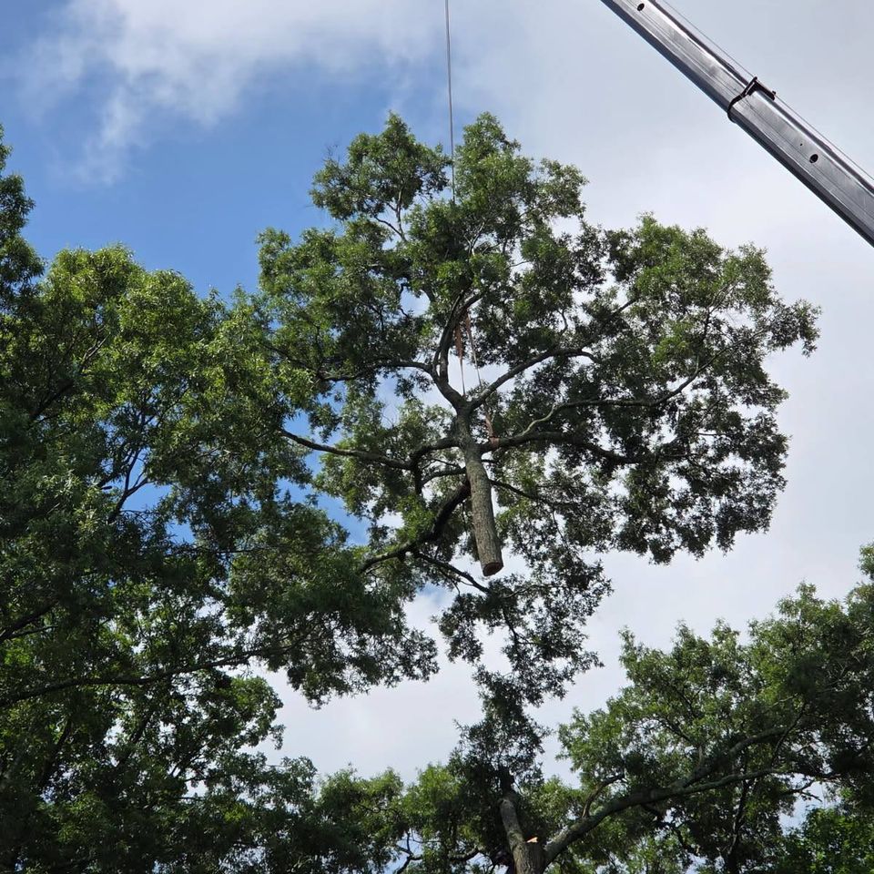 507779035 1121984526615053 8926881820327456609 n