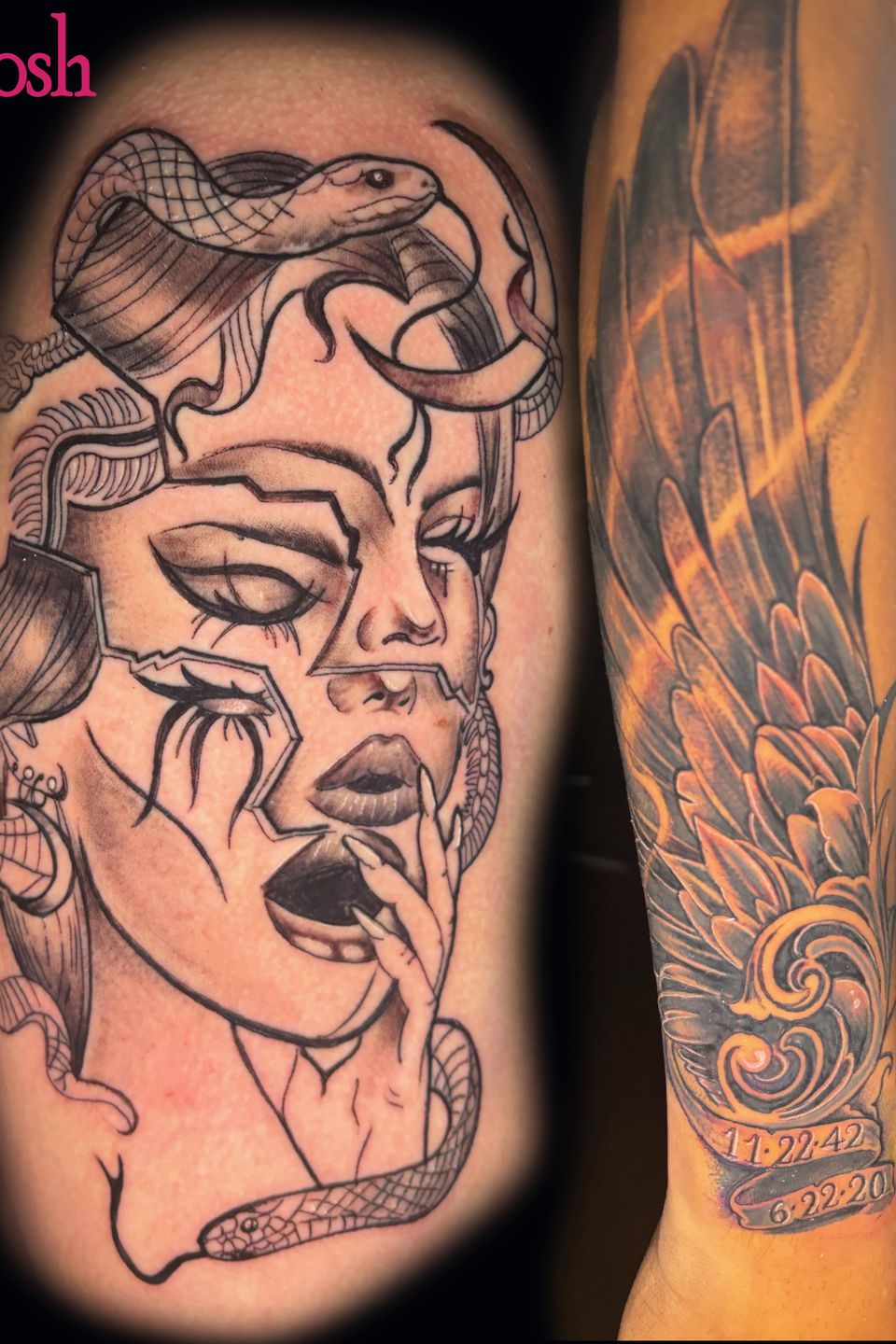 Josh medusa and wing 