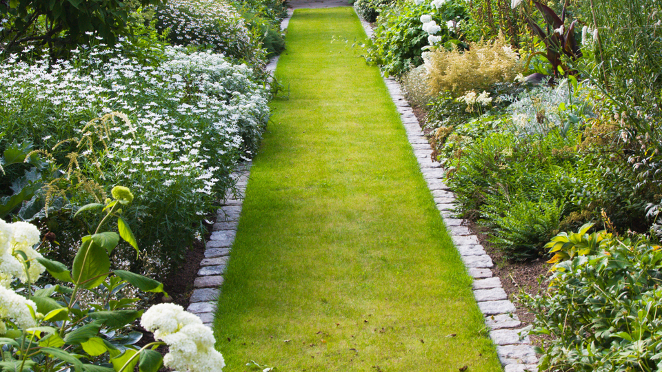 Edging mowing