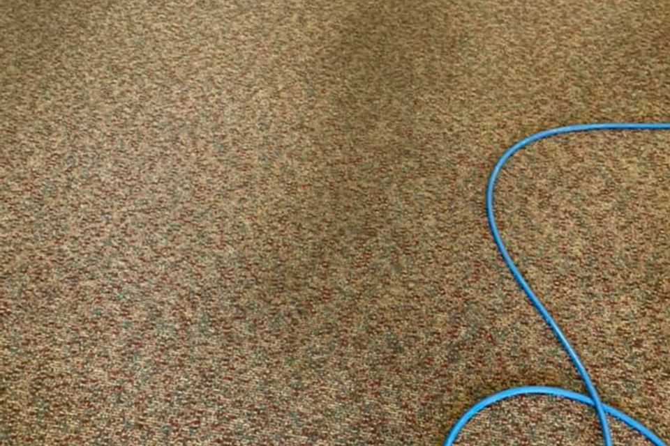 Jones carpet clean image4