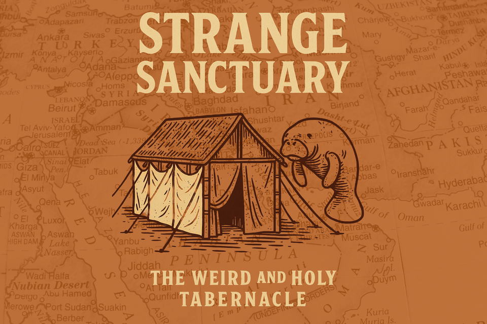 Strange sanctuary